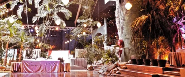 La Palmeraie - Image 2