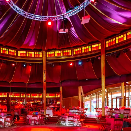 Cabaret Sauvage - Main image