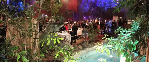 La Palmeraie - Image 3