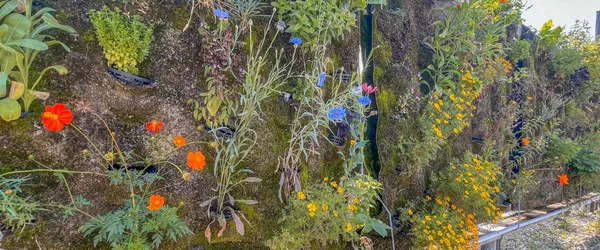 Auber Garden - Image 2